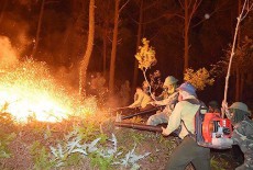 Xử lý nghiêm người buông lỏng quản lý để xảy ra cháy rừng ở Hà Tĩnh