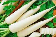 Củ cải trắng giúp tiêu thực, hỗ trợ giảm cân